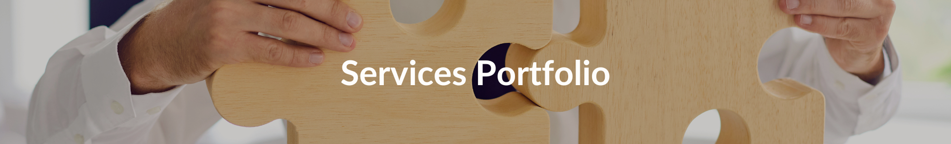 Services Portfolio V2